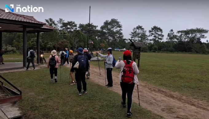 889 Turis Dievakuasi Usai Gajah Liar Serang Turis hingga Tewas